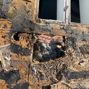 Damage_20Roof